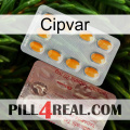 Cipvar new13